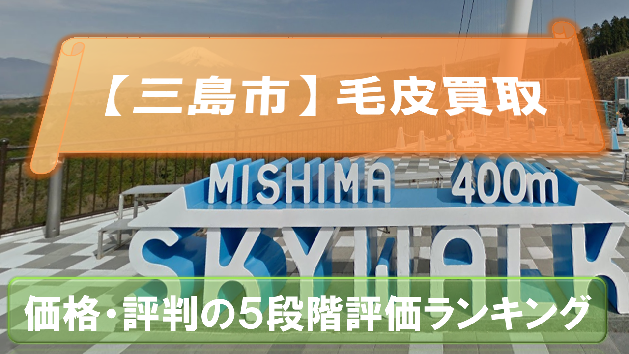 Mishimashi-Shizuokaken-Fur